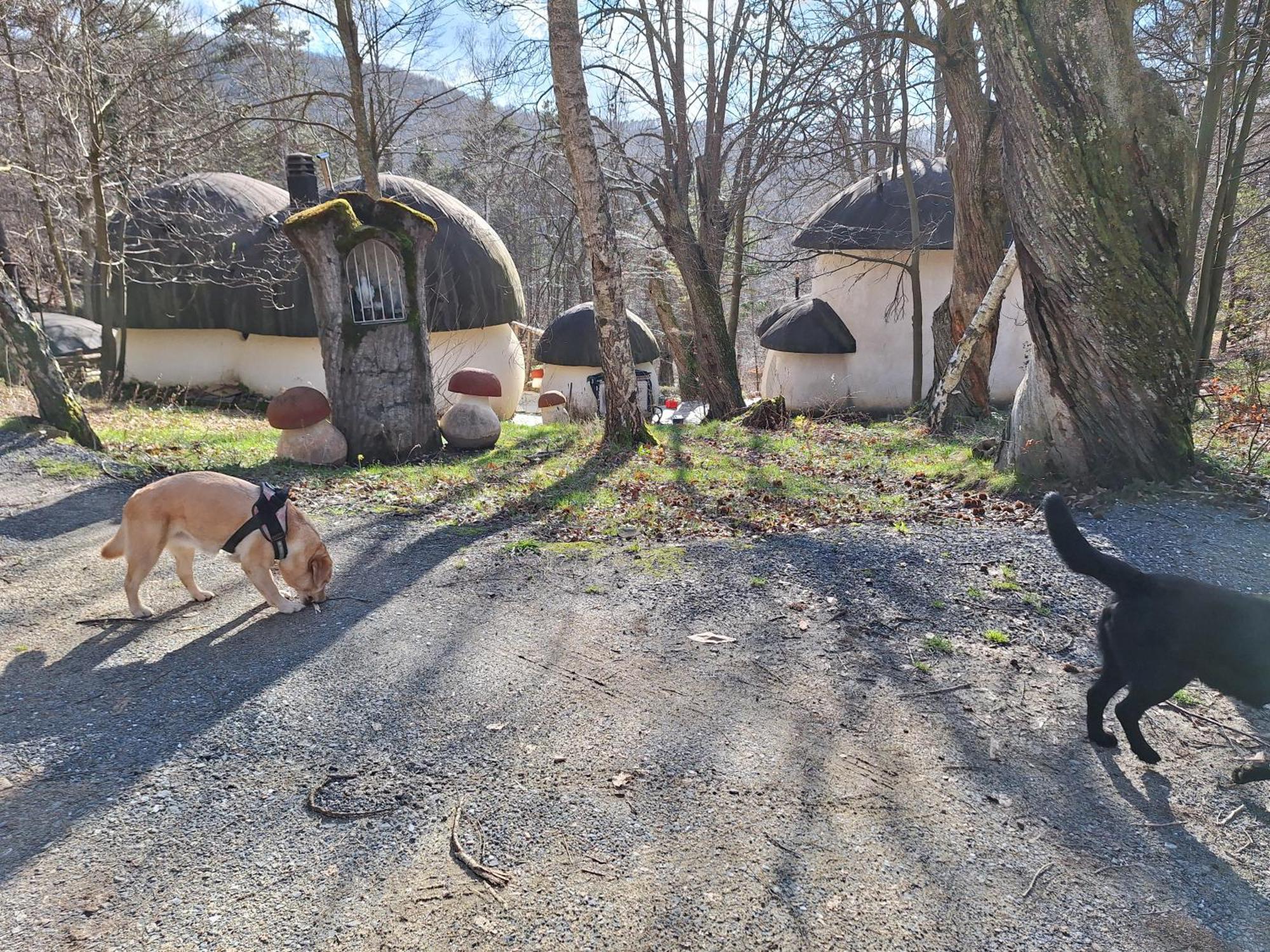 Il Villaggio Dei Puffi Bardineto Exteriér fotografie
